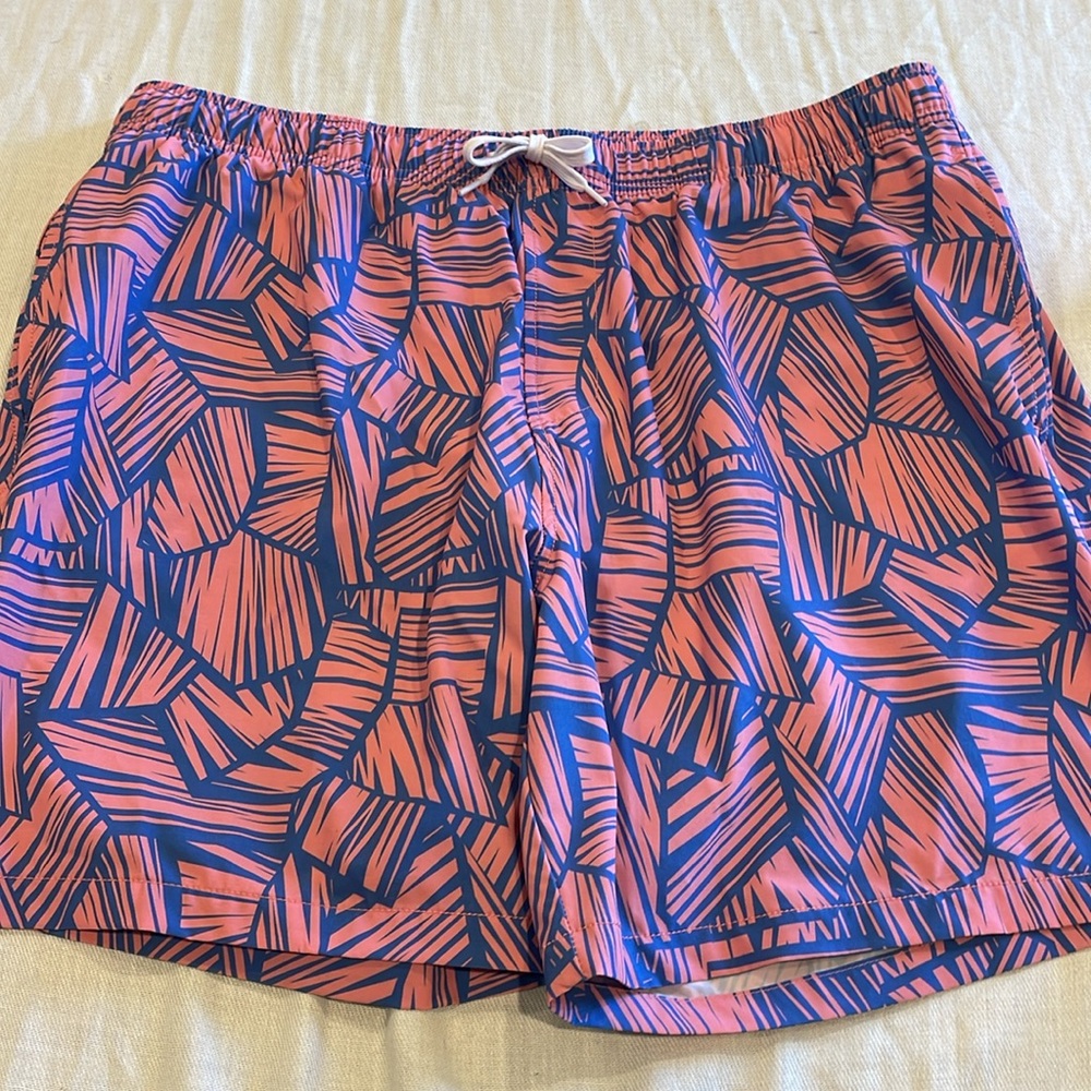 B0943 BearBottom stretch swim trunks EUC